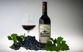 L'Hermitage D'Alienor